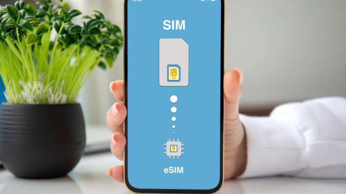 Smartphone yang Kompatibel dengan eSIM