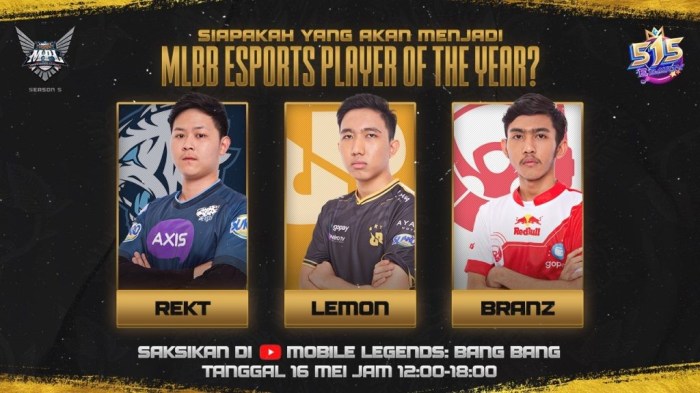 Profesi di Dunia Esports: Dari Pemain hingga Caster