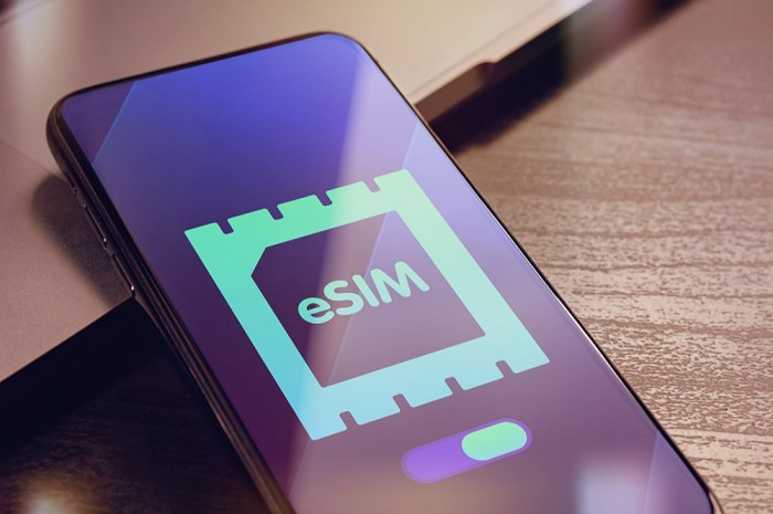 Smartphone yang Kompatibel dengan eSIM