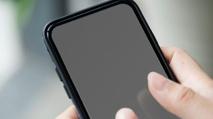 Mengenal Teknologi Layar AMOLED vs OLED