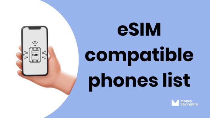 Smartphone yang Kompatibel dengan eSIM
