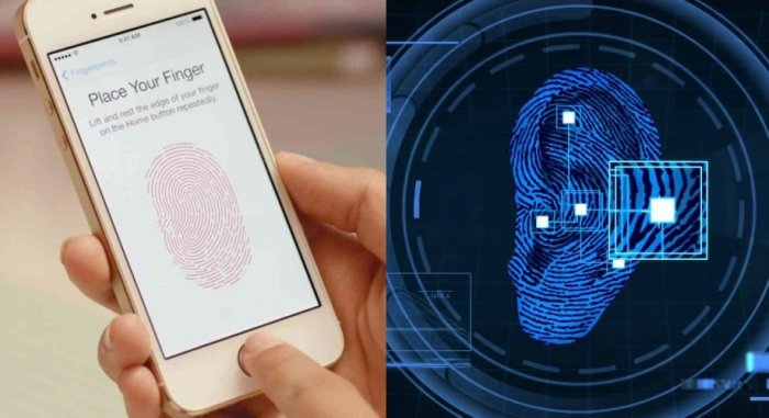 Earprint Jadi Terobosan Baru untuk Gantikan Fingerprint, Katanya Lebih ... Hack Fingerprint Scanner Agar Bisa Lebih Dari Satu Jari